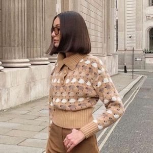 Zara | Sweaters | Zara Small Lamb 